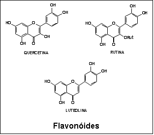 Caixa de texto:  

Flavonóides
